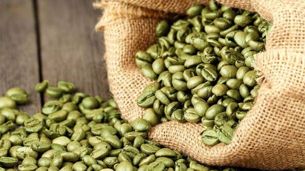 قیمت روز دان سبز قهوه وارداتی فروش و پخش مستقیم