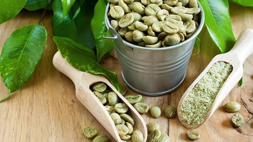 دان قهوه سبز آمریکایی و هندی